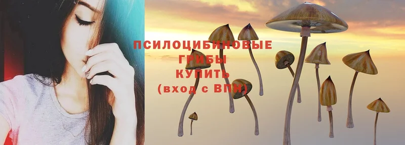 Псилоцибиновые грибы MAGIC MUSHROOMS Дубна